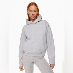 ARITZIA TNA FLEECE HOODIE